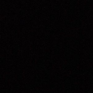 Meet your Posher, Trent